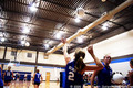 Highlight for Album: Volleyball 2006
