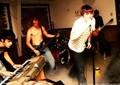 Highlight for Album: Sheltered Apes